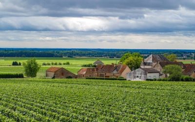 Domaine François VILLARD, à St Michel sur Rhône (42)