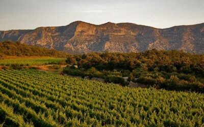 Domaine de Brunet en Languedoc
