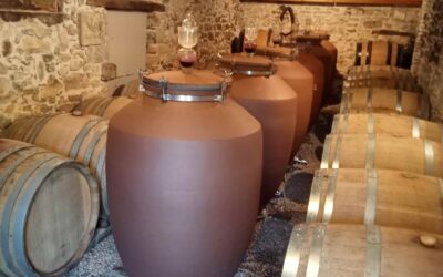 Domaine de Saint DAUMARY en Pic Saint Loup