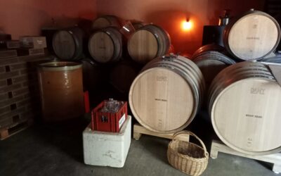 Domaine MIRABEL en PIC SAINT LOUP